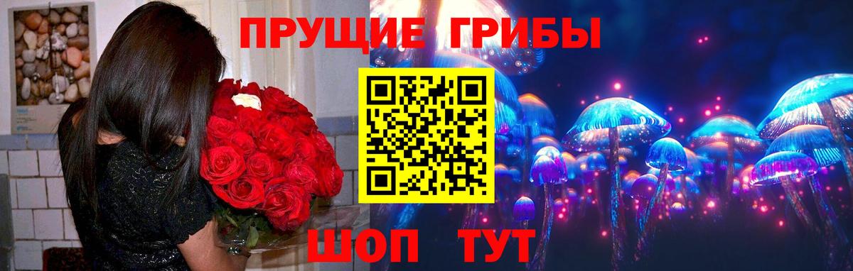 Галлюциногенные грибы Magic Shrooms Казань