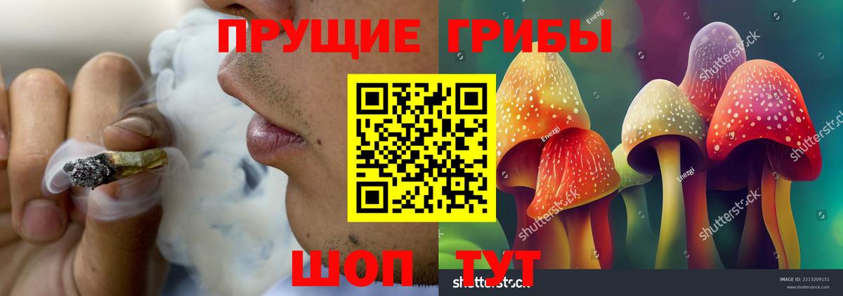 Казань  Псилоцибиновые грибы Psilocybine cubensis  Вход с VPN 